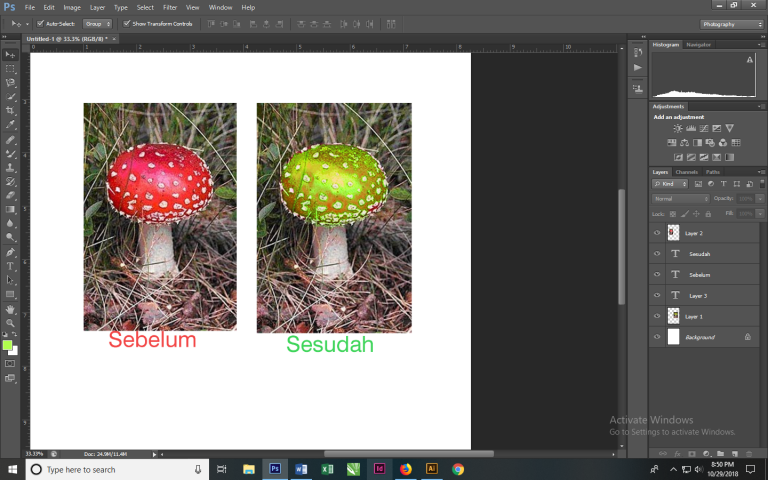 Tips mengganti warna dengan color Replace pada Photoshop C56